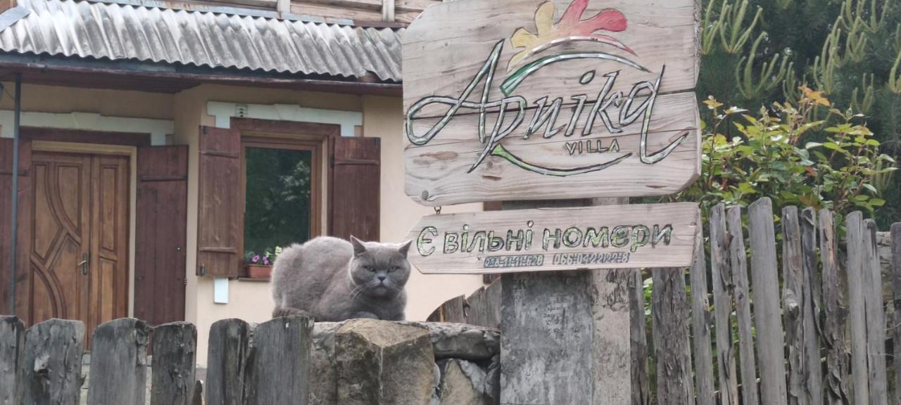Arnika Tatariv Hotel Buitenkant foto