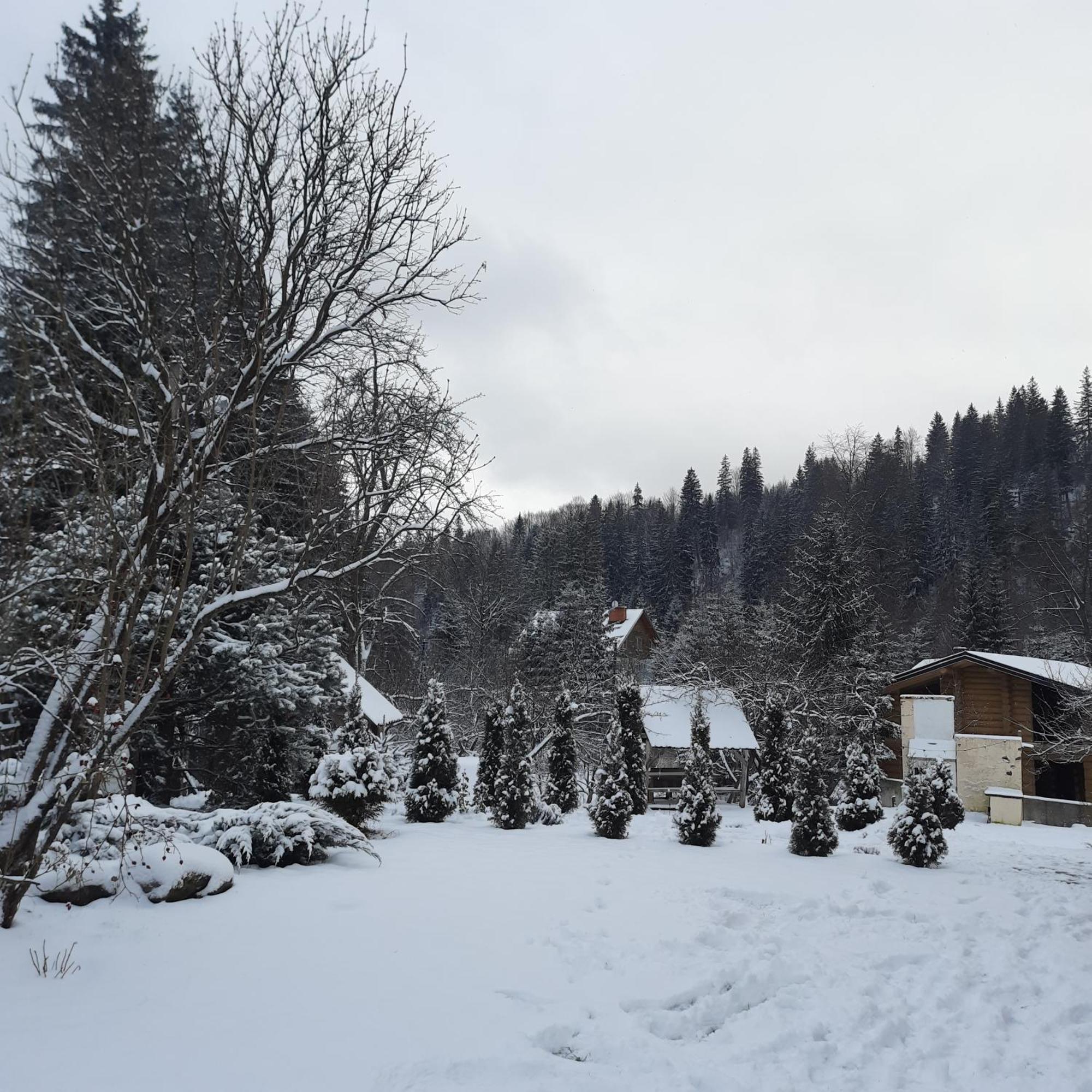 Arnika Tatariv Hotel Buitenkant foto